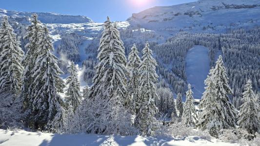 Аренда на лыжном курорте Квартира студия для 4 чел. (332) - La Résidence Castor - Flaine - зимой под открытым небом