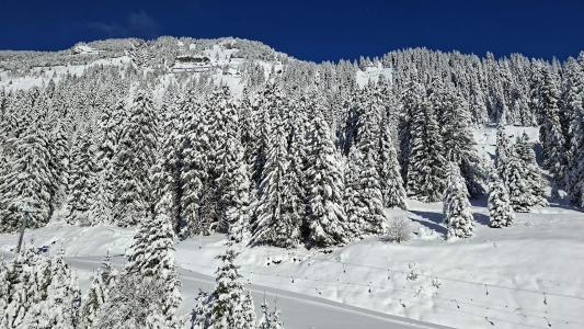 Аренда на лыжном курорте Апартаменты 4 комнат 8 чел. (601) - La Résidence les Terrasses de Véret - Flaine - зимой под открытым небом