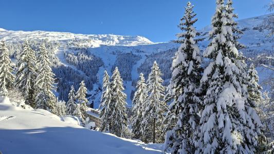 Аренда на лыжном курорте Квартира студия кабина для 4 чел. (204) - La Résidence Pollux - Flaine - зимой под открытым небом