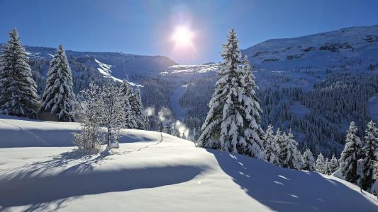 Ski verhuur Résidence Bélier - Flaine - Buiten winter