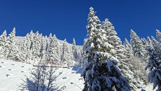 Rent in ski resort 2 room apartment 5 people (223) - Résidence de la Forêt - Flaine - Winter outside