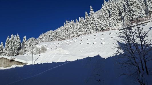 Rent in ski resort 2 room apartment 5 people (223) - Résidence de la Forêt - Flaine - Winter outside