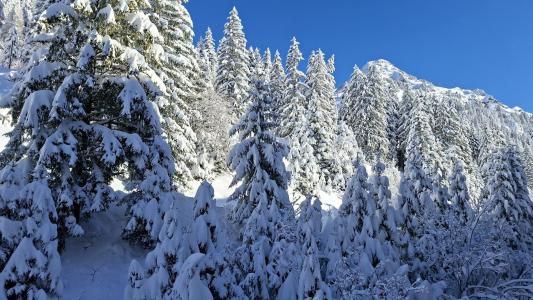 Rent in ski resort 2 room apartment 5 people (223) - Résidence de la Forêt - Flaine - Winter outside