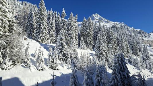 Аренда на лыжном курорте  (421) - Résidence de la Forêt - Flaine - зимой под открытым небом