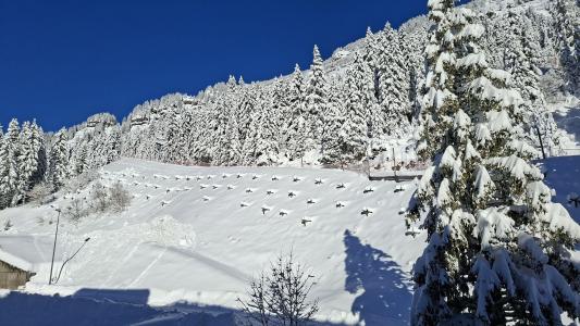 Аренда на лыжном курорте  (421) - Résidence de la Forêt - Flaine - зимой под открытым небом