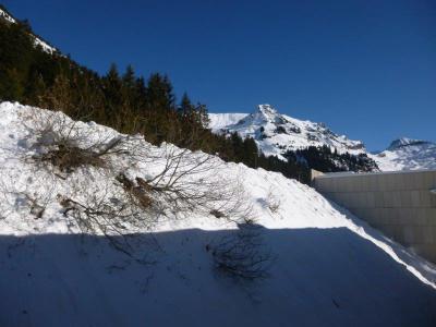 Aренда шале на лыжном курорте Résidence la Petite Ourse