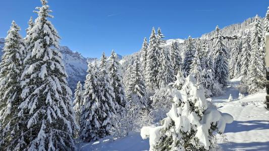 Аренда на лыжном курорте Апартаменты 3 комнат кабин 8 чел. (21) - Résidence les Pléiades - Flaine - зимой под открытым небом