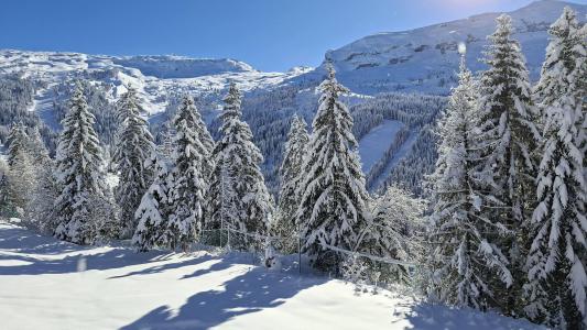 Location au ski Résidence les Pléiades - Flaine - Extérieur hiver