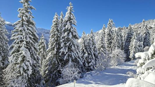 Rent in ski resort 2 room apartment cabin 6 people (12) - Résidence les Pléiades - Flaine - Winter outside