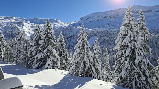 Rent in ski resort 2 room apartment cabin 6 people (12) - Résidence les Pléiades - Flaine - Winter outside