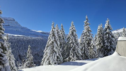 Location au ski Appartement 2 pièces 4 personnes (06) - Résidence les Pléiades - Flaine - Extérieur hiver