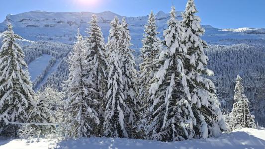 Location au ski Résidence les Pléiades - Flaine - Extérieur hiver