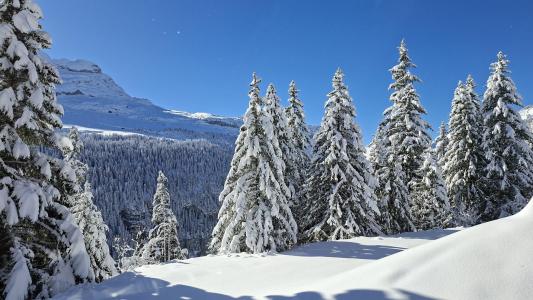 Location au ski Appartement 3 pièces 6 personnes (05) - Résidence les Pléiades - Flaine - Extérieur hiver