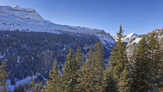 Rent in ski resort Résidence les Pléiades - Flaine - Winter outside