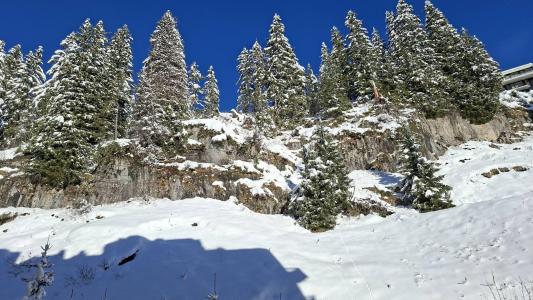 Location au ski Studio 4 personnes (36) - Résidence Véga - Flaine - Extérieur hiver