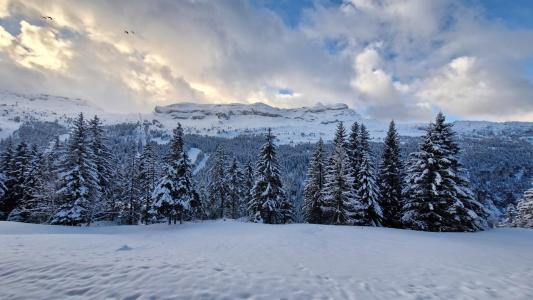 Skiverleih 2-Zimmer-Holzhütte für 6 Personen (101) - Résidence Verseau - Flaine - Draußen im Winter