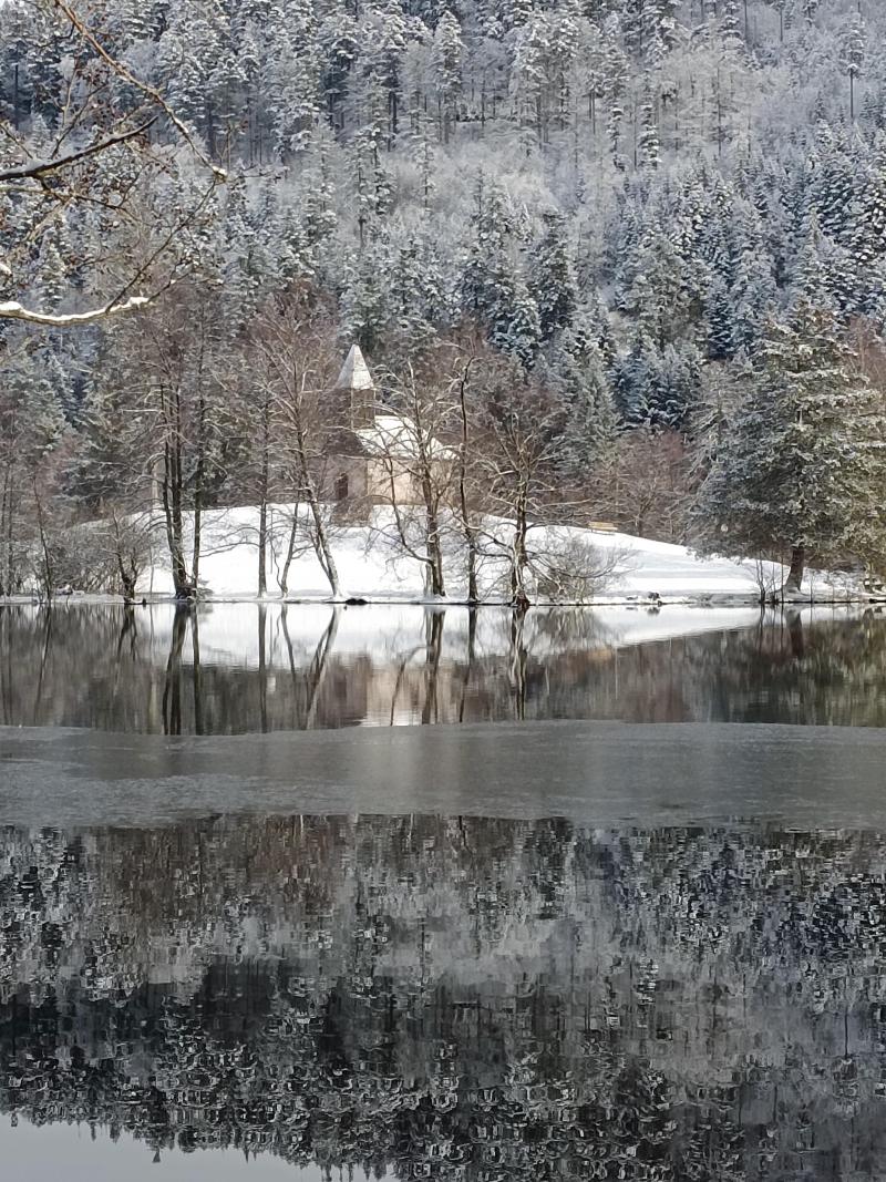 Urlaub in den Bergen Studio für 6 Personen - Résidence les Myrtilles - Gérardmer - Draußen im Winter