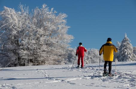 Location au ski Studio 6 personnes - Résidence les Myrtilles - Gérardmer