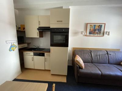Аренда на лыжном курорте Квартира студия для 4 чел. (3) - Résidence le Chalet - Gourette - Салон