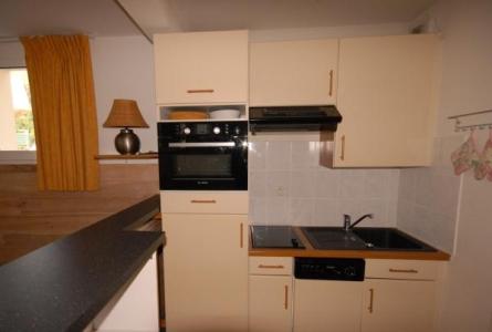 Ski verhuur Studio mezzanine 7 personen (21) - Résidence le Chalet - Gourette - Keuken