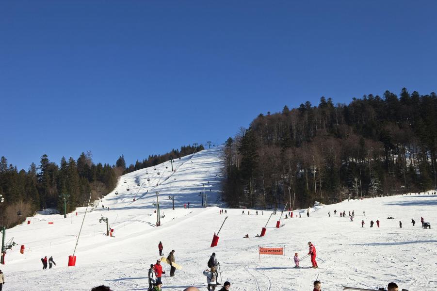 Location au ski Hôtel les Vallées - La Bresse - Extérieur hiver
