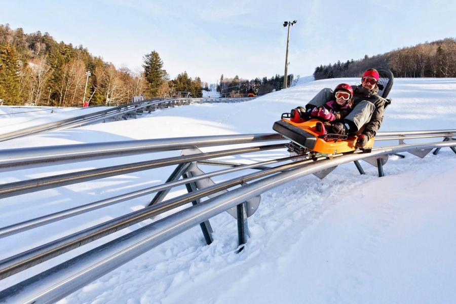 Rent in ski resort Résidence les Vallées - La Bresse - Others