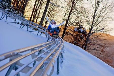 Alquiler al esquí Résidence les Vallées - La Bresse - Además