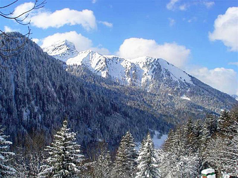 Каникулы в горах Chalet de la Chapelle - La Chapelle d'Abondance - зимой под открытым небом