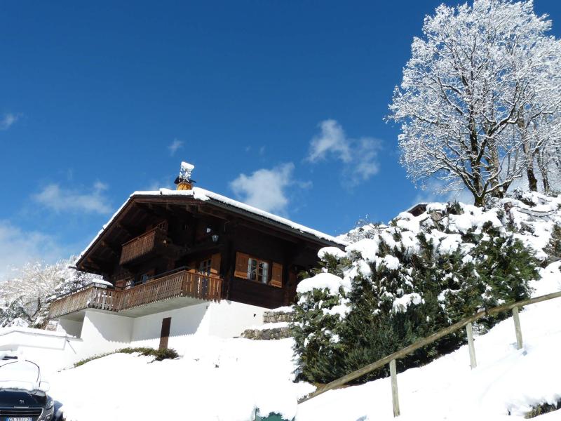 Skiverleih Chalet Maq Ed Pavei - La Clusaz - Draußen im Winter