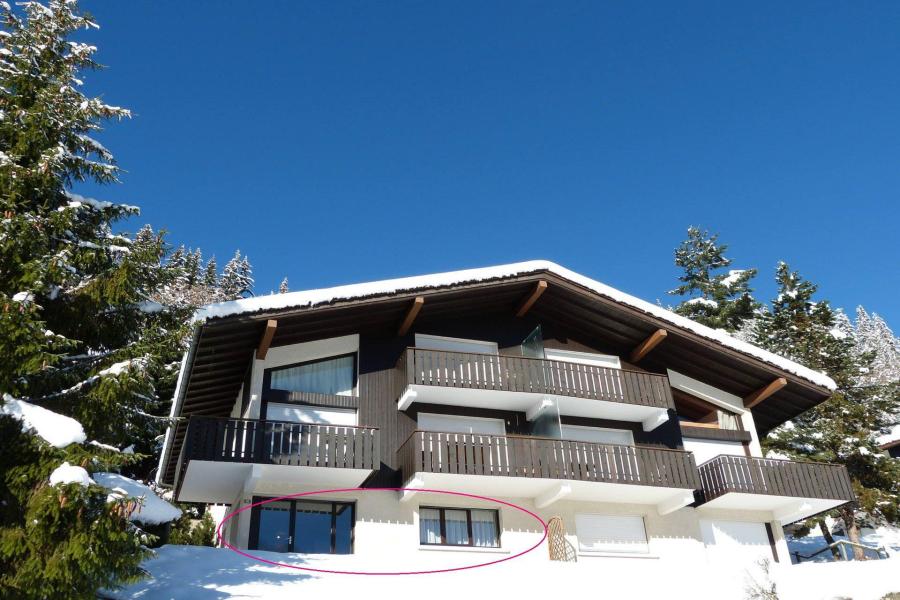 Ski verhuur Appartement 2 kamers bergnis 4 personen (01) - HAUTS DES RIFFROIDS A - La Clusaz - Buiten winter