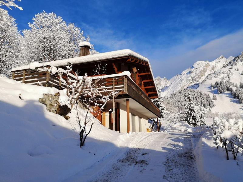 Location au ski Résidence Lyckrete - La Clusaz - Extérieur hiver