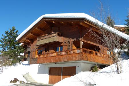 Skiverleih 6 Zimmer Chalet für 8-10 Personen (Logement 6 pièces 10 personnes (PISO04)) - Piste du soleil chalet Luge - La Clusaz - Draußen im Winter