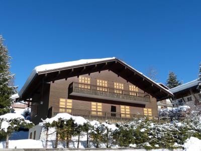 Vacaciones en montaña Résidence Soldanella - La Clusaz - Invierno