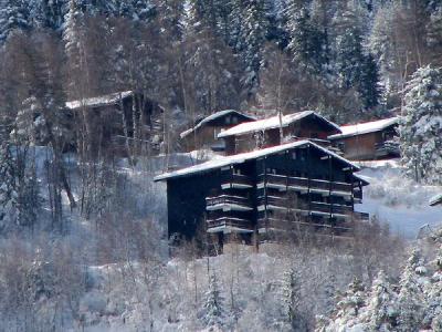 Alquiler al esquí Résidence le Grand Vallon - La Norma