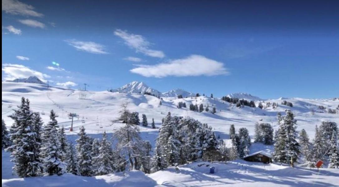 Alquiler al esquí Estudio para 4 personas (215) - La Résidence Aigue-Marine - La Plagne