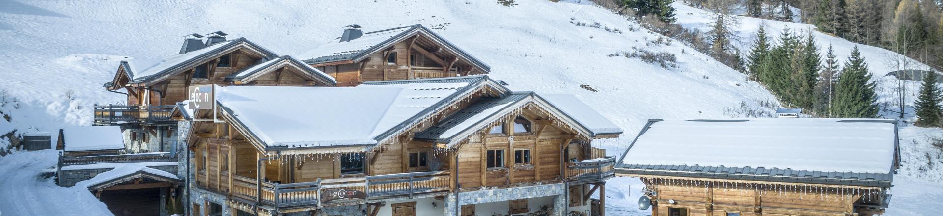 Location au ski Chalets du Cocoon - La Plagne - Extérieur hiver