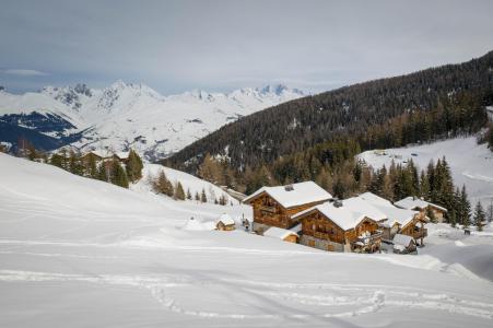 Vacances en montagne Chalets du Cocoon - La Plagne - Extérieur hiver