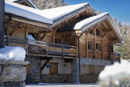 Аренда на лыжном курорте Шале дуплекс 8 комнат 19 чел. (Cocoon) - Chalets du Cocoon - La Plagne - зимой под открытым небом