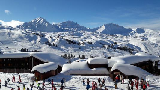 Ski verhuur Studio met slaapgedeelte 4 personen (313) - La Résidence Themis - La Plagne