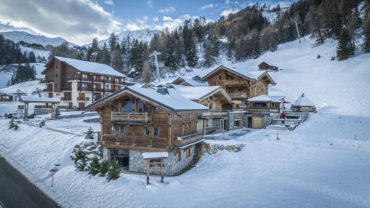 Alquiler al esquí Les Chalets Du Cocoon - La Plagne - Invierno