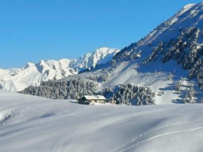 Alquiler al esquí Estudio para 4 personas (019) - Résidence le Sapporo - La Plagne