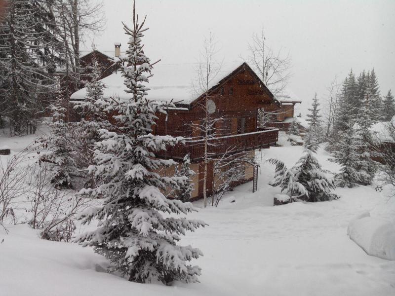 Skiverleih CHALET WOODY WOOD - La Tania - Draußen im Winter