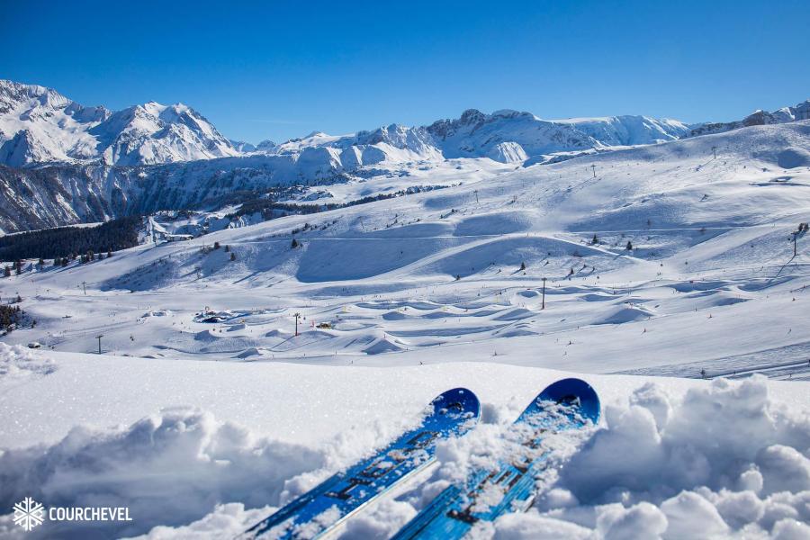 Location au ski Résidence le Grand Bois B - La Tania - Extérieur hiver