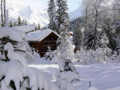 Vacances en montagne Les Chalets de la Tania - La Tania - Extérieur hiver