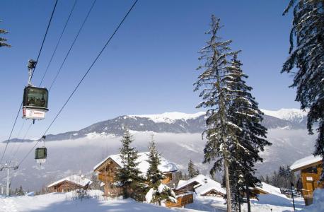 Location au ski Les Chalets de la Tania - La Tania - Extérieur hiver
