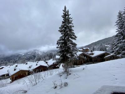 Location au ski Appartement 2 pièces 4 personnes (722) - Résidence Grand Bois - La Tania - Extérieur hiver