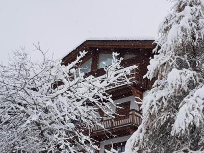Ski verhuur Appartement 4 kamers 8 personen (2) - Résidence le Rocher Blanc - La Tania - Buiten winter