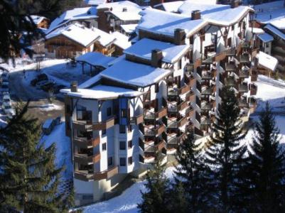 Location au ski Appartement 2 pièces 4 personnes (SABA52) - Résidence Saboia - La Tania - Extérieur hiver