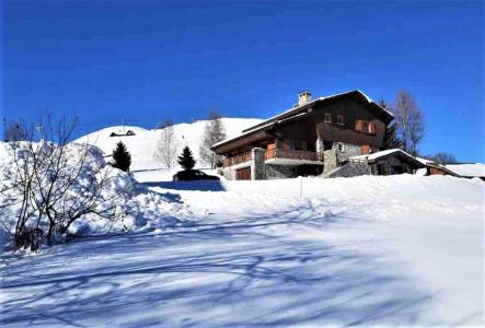 Location au ski Chalet La Maisonnée - La Toussuire - Extérieur hiver