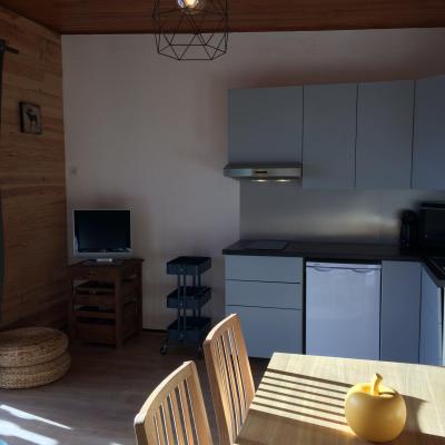 Location au ski Appartement 1 pièces 4 personnes (C43) - Résidence Toussuire - La Toussuire - Kitchenette